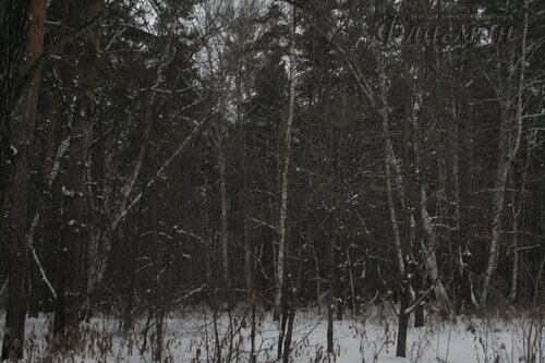 _MG_4804_r